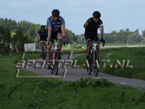 D7084.jpg